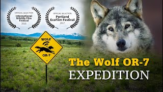 Why do people see wolves as good or bad [upl. by Button]