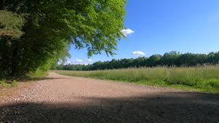 Relaxing Meadow Sounds on a Country Road  Nature Sounds in 4K [upl. by Joacimah988]