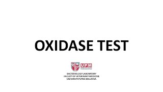 Oxidase Test Procedure [upl. by Anwahsed]