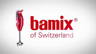 Bamix Immersion Blender – Product Use and Care [upl. by Dralliw]