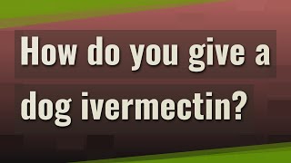 How do you give a dog ivermectin [upl. by Saidel884]