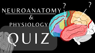 Neuroanatomy Quiz Anatomy and Physiology of the Cerebrum Lobes Gyri amp Sulci anatomyquiz shorts [upl. by Eelir]