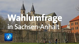 SachsenAnhalt Umfrage vor der Landtagswahl [upl. by Sonafets584]