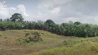 Lot For Sale KLIMANG TAGAYTAY  Silang Cavite [upl. by Korwun261]