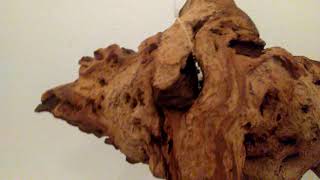 Pt 1 Mopani Driftwood Unboxing  Drs Foster amp Smith Aquarium Supplies [upl. by Yaron]