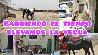 barriendo el patio 🧹 y llevamos la yegua 🐎 [upl. by Elbas]