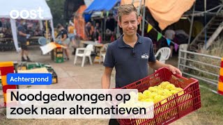 Corsobouwer Ryan heeft dit nog nooit eerder gezien quotVeel te weinig bloemenquot  Oost [upl. by Haim194]