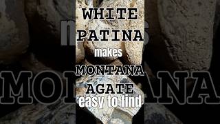 White Patina Makes Agates Easy to Find yellowstone rockhounding agate lapidary howto [upl. by Mountford]