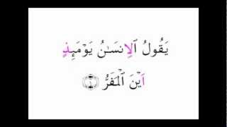 Surah Qiyaamah Mishary Rashid Warsh Recitation [upl. by Loats499]