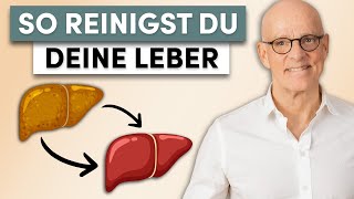 Leber heilen So reinigst du deine Leber effektiv [upl. by Akerehs]