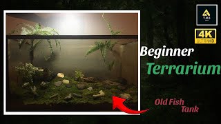 How To Make A Terrarium In A Old Fish Tank [upl. by Horn]