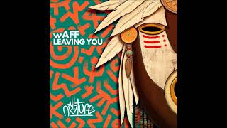 wAFF  Leaving You Original Mix NATURE [upl. by Ardnad]