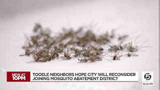 Tooele area residents want Tooele City to look at mosquito abatement [upl. by Badger]