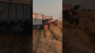 tractor video viral shorts ki 2024 farmer combine gurayajot2 [upl. by Ahcorb]