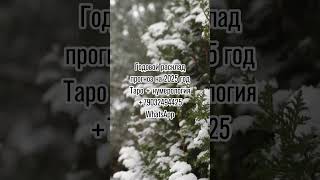 ПРОГНОЗ НА ЗИМУ ЧТО ЖДЕТ ЗИМОЙ Анонс таро будущее прогноз гадание тарогадание раскладтаро [upl. by Tate]