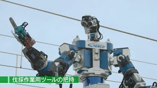 Japan deploys humanoid robot for railway maintenance  AFP [upl. by Eduino]