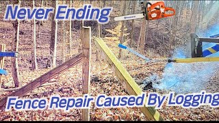 Never Ending Logging Fence Repairs BackHomeWithUs loggers logging fencerepair fence animals [upl. by Ieluuk]