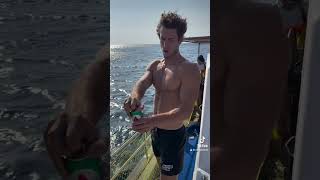 Boat day in Mykonos🛥️⚓️🦀 mykonosmemories mykonos aussiebum xlsior summer comedy funnyvideo [upl. by Emma]