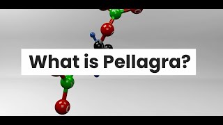 WHAT IS PELLAGRA [upl. by Bill]