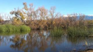 San Jacinto Wildlife Area [upl. by Peednama]