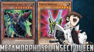 YuGiOh Duel Links  Metamorphosed Insect Queen Beatdown [upl. by Zealand781]