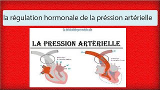 La régulation hormonale de la pression artérielle [upl. by Neerbas555]