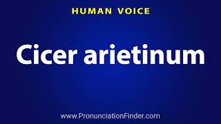 How To Pronounce Cicer arietinum [upl. by Ah643]