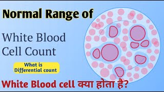 wbc normal range II white blood cells normal range [upl. by Ng]