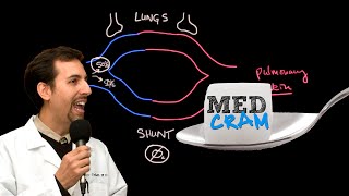 Shunting Explained Clearly Pulmonary Shunt [upl. by Willms]