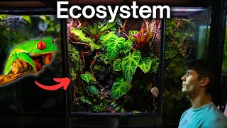 I Made a Jungle Terrarium For a Tiny Frog Here’s How [upl. by Lamag]