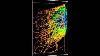 ZEISS ELYRA 3DPALM of microtubules 6 micron multiplane [upl. by Newmark]