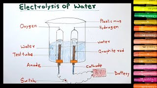 Electrolysis of Water Diagram drawing sciencediagram [upl. by Anyk]