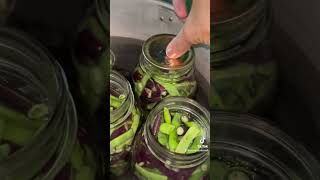 Pressure canning green beans with my Presto Canner [upl. by Ecneret]