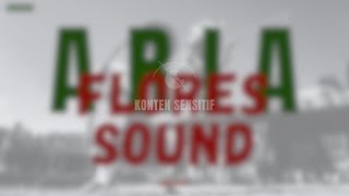 FLORES SOUND x ARIA Indobounce [upl. by Arol854]