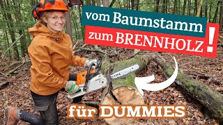 Brennholz machen im Wald  Sägen Lagern alle Tipps 🌳🪚 [upl. by Cherish]