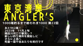 【東京湾奥】隅田川河口は秋爆ならず？では上流～中流は？【シーバス釣り】2023 11月上旬 Can We Catch Fish In Tokyo Bay 22 [upl. by Felicio512]