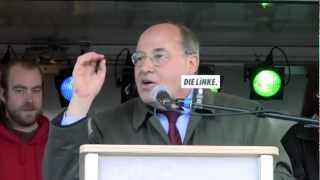 Gregor Gysi Vermögenssteuer  Steuergerechtigkeit  Steuerflucht [upl. by Moina]