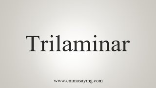 How To Say Trilaminar [upl. by Thurlough]