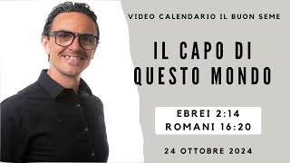 24 OTTOBRE 2024 Calendario cristiano IL BUON SEME [upl. by Aneeg]