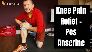 Knee Pain  4 steps how to treatment Pes Anserine [upl. by Licha]