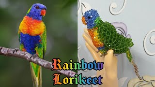 3D Beaded Rainbow Lorikeet Australian Parrot by Bead Rose Sons [upl. by Saideman]