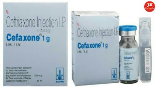 ceftriaxone injection  cefaxone 1g uses  ceftriaxone injection for gonorrhea [upl. by Lyontine]