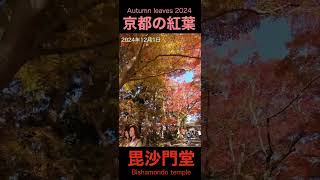 【京都の紅葉】121やはり毘沙門堂が最高！紅葉見頃はまだまだ続く Kyoto Bishamondo temple Autumn leaves [upl. by Allak]