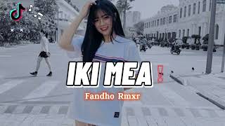 IKI MEA REMIX  Fandho Rmxr  REMIX TERBARU 2023 [upl. by Arracahs]