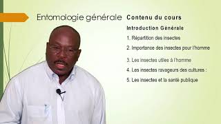 Armand Paraïso Entomologie Générale L1 S2 Presentation du cours  objectifs plan  Dr PARAÏSO [upl. by Bish255]