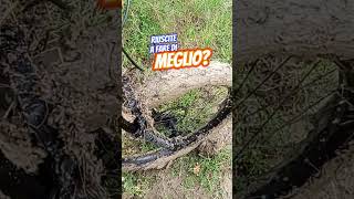 SUPERFANGO mtb cicloturismo viaggiinbici bikelife downhill mountainbike bicicletaelectrica [upl. by Tager]