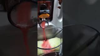 AGARO Imperial Slow Juicer Professional Cold Press Whole Slow Juicer 240 Watts Power Motor [upl. by Nisior]