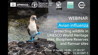 Webinar Protecting wildlife from avian flu in UNESCO Biosphere and Ramsar sites [upl. by Hannan29]