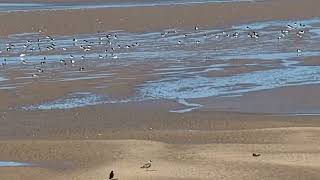 4K60FPSHIRES 🚶 Coastal walk Leasowe Lighthouse to Hoylake Lifeboat Station 🚶 August 30th 2024 [upl. by Ebeohp387]