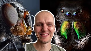 La diversité des Arthropodes évolution insectes araignées crustacés [upl. by Lurette]